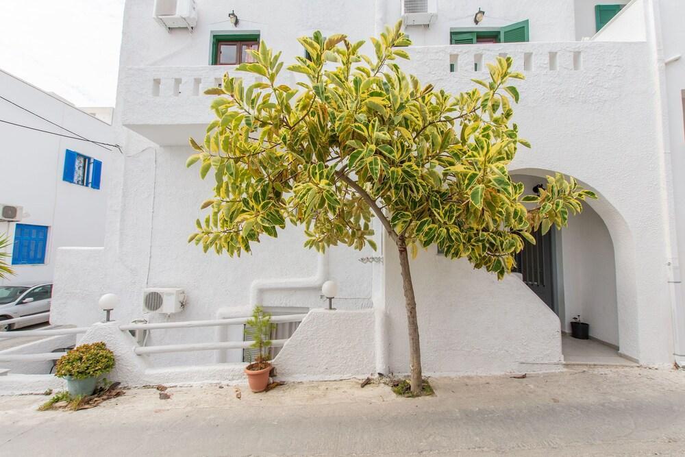 Naxos Enjoy Apartments Naxos City Exteriör bild